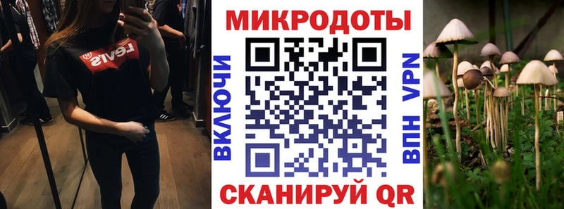 купить сайты Весьегонск OMG зеркало Галлюциногенные грибы Cubensis